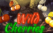 BG Wild Cherries